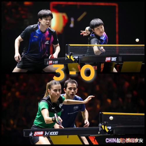 国乒主场作战无冠收官！男女单决赛双双失利